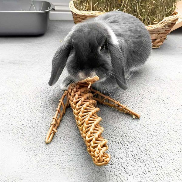 Enrichment Toys For Rabbits Best Rabbit Toys For Bunnies