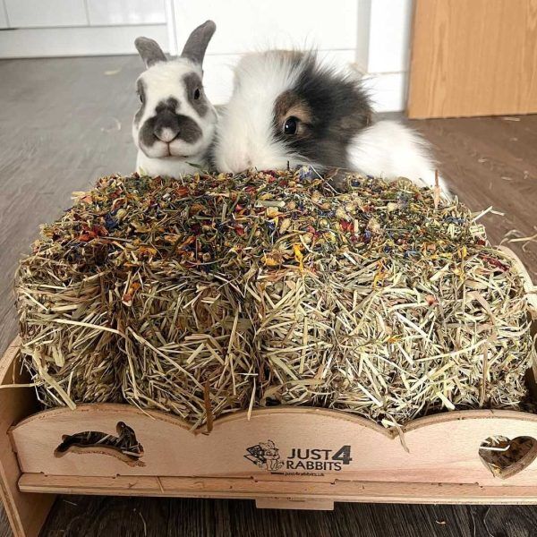 Nibbler HayTunnel, bunny, rabbit, hay rack, online hay stand, hay feeder, hay tunnel, loft, guinea pig, small animal, hay feeder, Hay tunnel