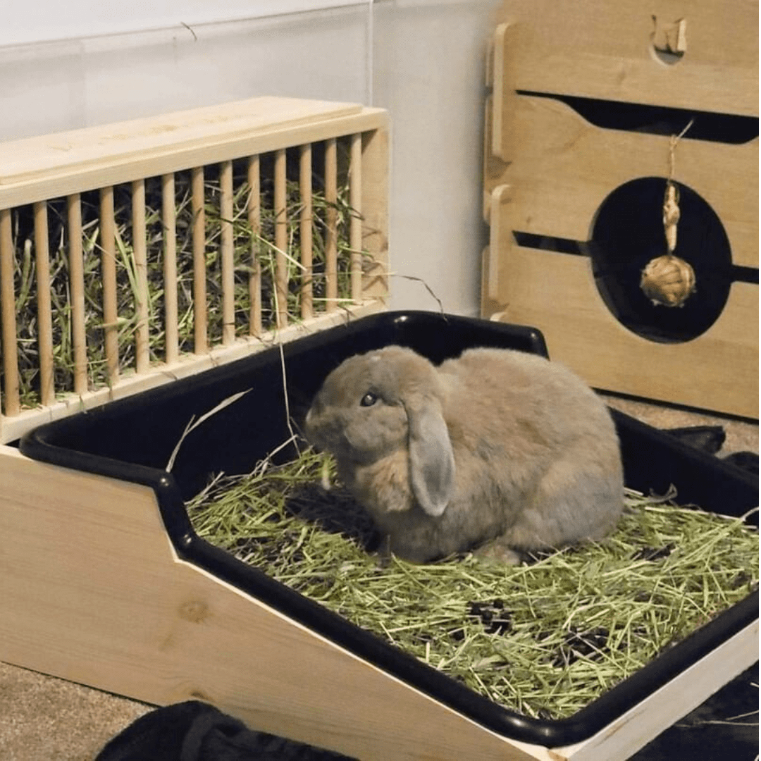 Ultimate Spacious Rabbit Hay Rack And Litter Tray Combo